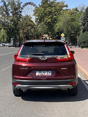 step vagon: Honda CR-V: 2019 г., 1.5 л, Вариатор, Бензин, Кроссовер — 8