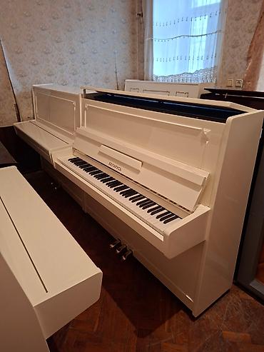 çadr: Piano, Belarus, Akustik, Yeni, Pulsuz çatdırılma — 2