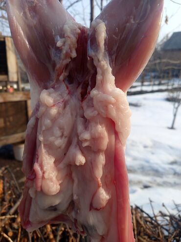 декоративный камень бишкек цена: Кроличье мясо от килограмма веса 500 сом за килограмм мяса молоденькое