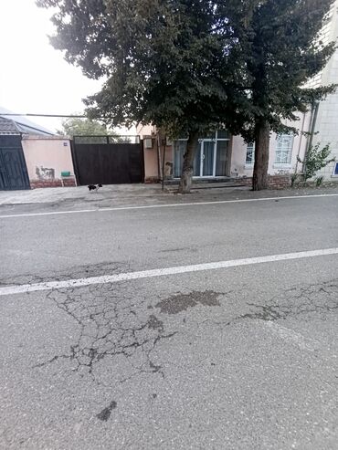 Həyət evləri və villaların satışı: 4 otaqlı, 11000 kv. m, Kredit yoxdur, Orta təmir — 10