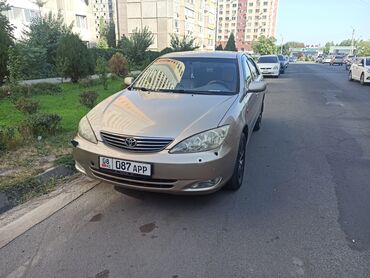 тойота камри 2005: Toyota Camry: 2005 г., 2.4 л, Автомат, Бензин, Седан