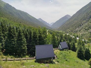 Услуги переводчика: Услуги переводчика, Кыргызский
