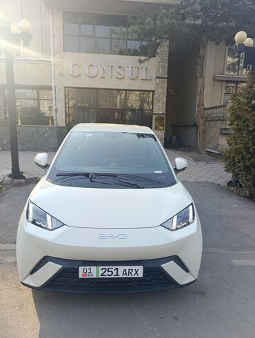 пульт от авто: Компактный электромобиль BYD Seagull в белом кузове. Обладает