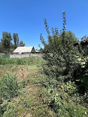 стройител: 4 соток, Красная книга — 5
