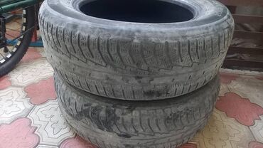 покрышки для трактора: Шиналар 205 / 65 / R 16, Жай, Колдонулган, Жуп, Жеңил унаалар, Жапония