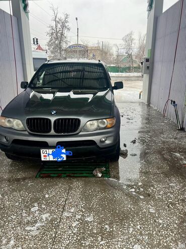 BMW: BMW X5: 2004 г., 4.8 л, Автомат, Газ, Кроссовер