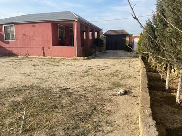 Bağ evlərinin satışı: Bakı, Görədil, 100 kv. m, 3 otaqlı, Hovuzsuz, Kanalizasiya, Artezian quyusu, Kombi — 4