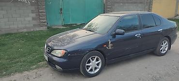 aska: Nissan Primera: 2001 г., Седан — 10