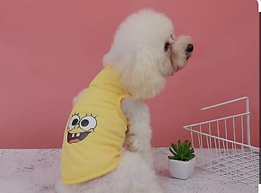 Зоотовары: Одежда для кошек и собак. Все НОВОЕ РАЗМЕР И ЦЕНА УКАЗАНЫ НА ФОТО — 16