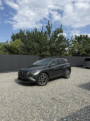 Hyundai Tucson: 2022 г., 1.6 л, Автомат, Бензин, Кроссовер