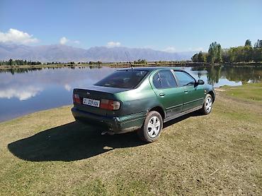 фара опель вектра б: Nissan Primera: 1999 г., 1.6 л, Механика, Бензин, Седан — 2