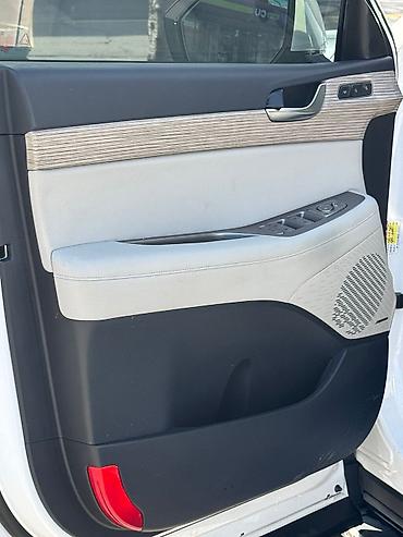 Hyundai: Hyundai Palisade: 2019 г., 2.2 л, Дизель — 17