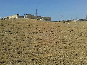 ecemi: 8 sot, Tikinti, Mülkiyyətçi — 5