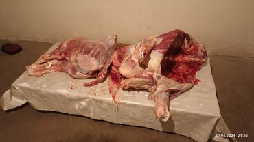 другие марки: Продаю мясо бычок полный туша примерно 110кг зарезал прична ногу