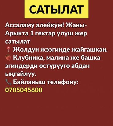 птицы ферма: 100 соток, Для сельского хозяйства — 1