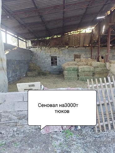 Продажа коттеджей и домов: Продам очень большой благоустроенный дом 250кв м жилая площадь — 8