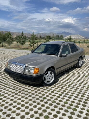 мерс 1988: Mercedes-Benz W124: 1988 г., 2.3 л, Автомат, Бензин, Седан