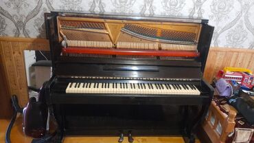 mayga piano: Пианино, Акустический, Б/у