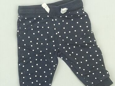 spodnie dresowe 176: Sweatpants, Fox&Bunny, 3-6 months, condition - Good