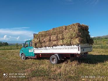компрессор компактный: Грузовик, Iveco, Дубль, 5 т, Б/у — 3