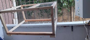 dovşan yuvaları: Dovşan yuvası və tualet etməsi üçün qab. Çox az istifadə olunub. Qabı