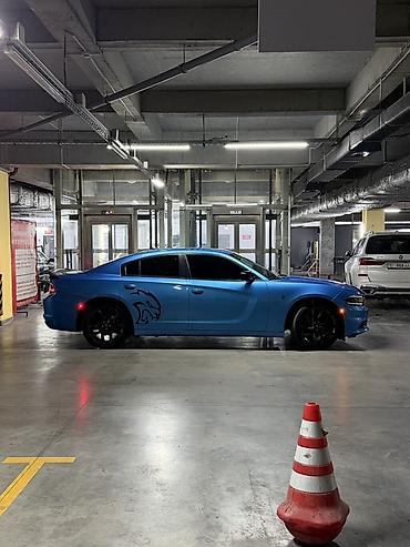 dodge challanger: Dodge Challenger: 2019 г., 3.6 л, Автомат, Бензин, Седан — 4