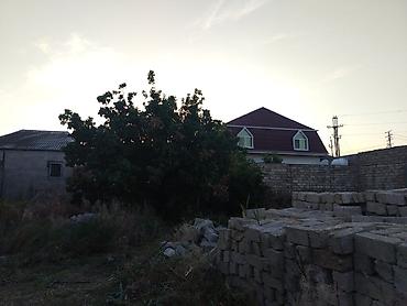 şağan torpaq satılır: 7 sot, Tikinti, Mülkiyyətçi, Kupça (Çıxarış) — 5