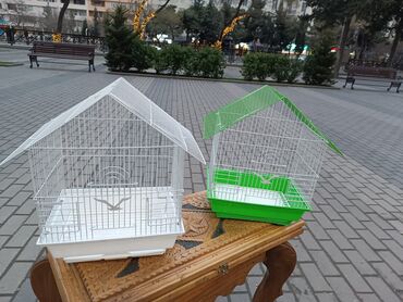 Yemlər: Quş yemləri 1-azn Qırmızı darı topdan 1azn Pərakəndə 1,50azn 1-kq — 15