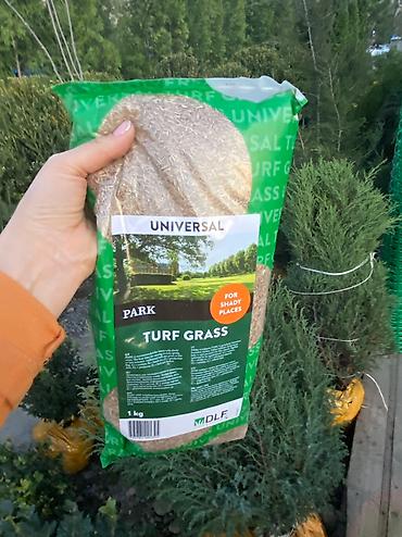 Газон: Газон газоны спорт низко рослый солнечный теневой универсальный — 6