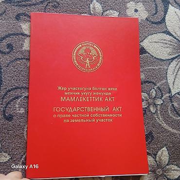в кант: 5 соток, Красная книга — 1