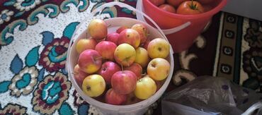 Продажа участков: 10 соток — 27