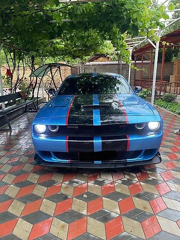 dodge купе: Dodge Challenger: 2019 г., 3.6 л, Автомат, Бензин, Купе — 1