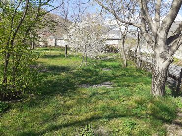 Torpaq sahələrinin satışı: 10 sot, Tikinti, Mülkiyyətçi, Kupça (Çıxarış) — 8