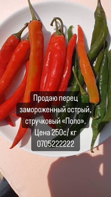 болгарский перец: Замороженные овощи