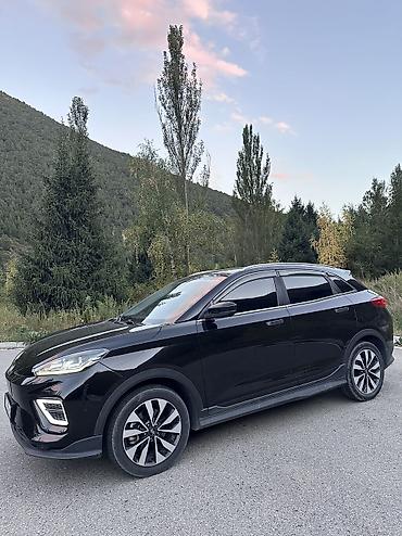 neta x: Weltmeister EX5, 2020 г. — 8