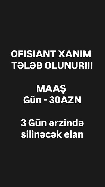 Təhsil, elm: Ofisiant tələb olunur, Fast food, Gündəlik ödəniş, 18-29 yaş, Təcrübəsiz