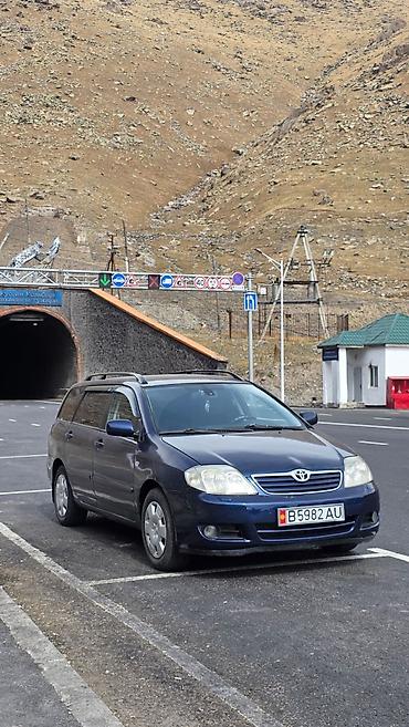Унаа сатуу: Toyota Corolla: 2005 г., 1.6 л, Кол менен иштөөчү, Бензин, Универсал — 10