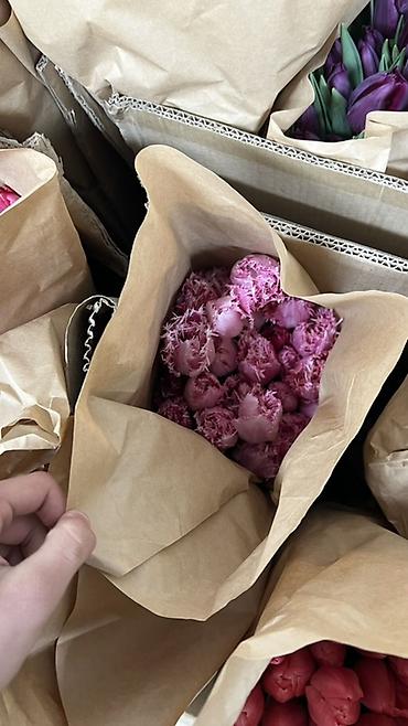 Букеты из живых цветов: Здравствуйте! 🌷 У вас есть прекрасная возможность заказать тюльпаны к — 10