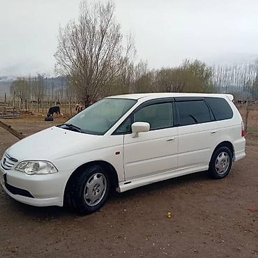 одиссей 1998: Honda Odyssey: 2003 г., 2.3 л, Автомат, Газ, Минивэн — 5