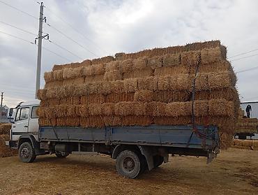 Услуги портера: Заказать Мерседес Гигант, Вывоз швейных отходов, C грузчиком at lalafo.kg — 7 Услуги портера: Заказать Мерседес Гигант, Вывоз швейных отходов, C грузчиком — 7