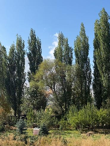 Продажа домов: Дом, 200 м², 7 комнат, Собственник, Евроремонт — 9