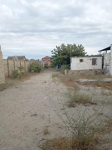 Torpaq sahələrinin satışı: 12 sot, Tikinti, Mülkiyyətçi, Kupça (Çıxarış) — 1