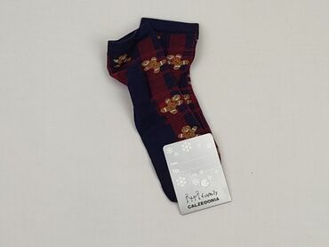 Спідня білизна: Шкарпетки для чоловіків, Calzedonia, стан - Ідеальний