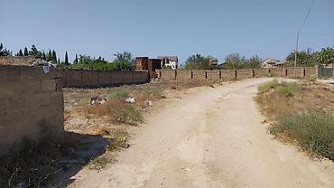 Torpaq: 12 sot, Kupça (Çıxarış) — 4