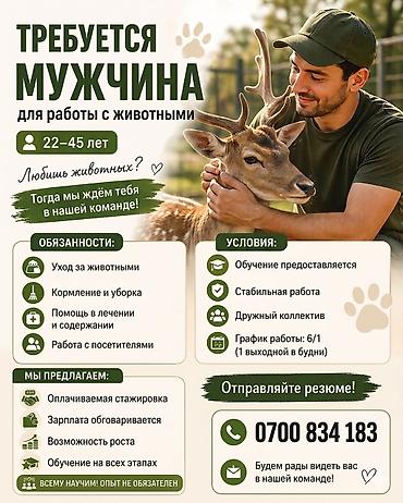 фотографии: 🐾 МЫ ИЩЕМ СОТРУДНИКОВ В КОМАНДУ «ЗООБИШКЕК»! 🐢🦚 Мы ищем — 1