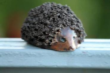 Figure: JEŽ vintage umetnička keramika. Umetnička keramika. Dimenzije cca: 8 x — 2