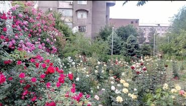 Продажа квартир: 2 комнаты, 56 м², Индивидуалка, 15 этаж, Косметический ремонт — 5