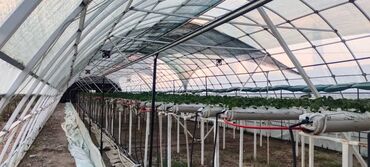 Теплицы: Прочный каркас для теплицы из металла. Конструкция состоит из арок — 4