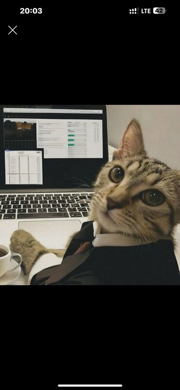 домашняя работа: Онлайн пдороботка оплата ежедневно от 1000 сом и выше всем подходит