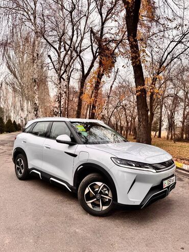 машины не дорого: BYD Yuan UP 2025 Кытайдан буйрутмага алып келүү кызматын көрсөтөбүз!